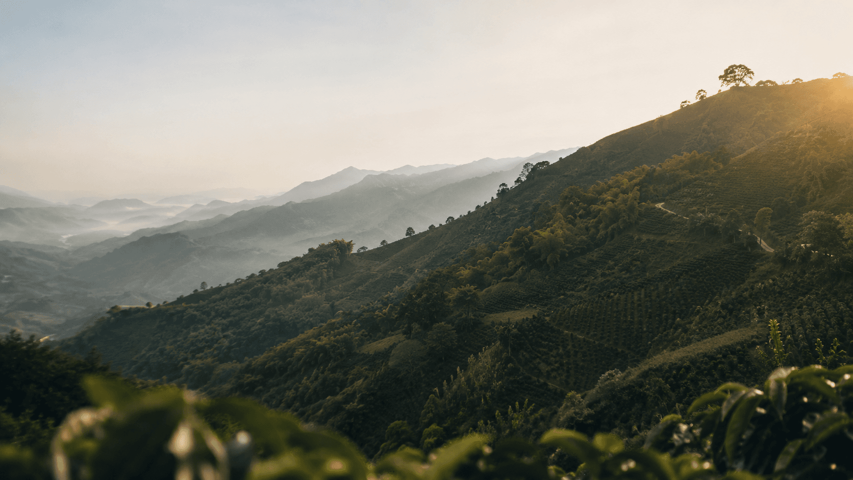 Colombian mountain coffee landscape representing Zultemon origin